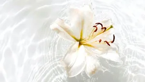 Dead energies & how to separate from them